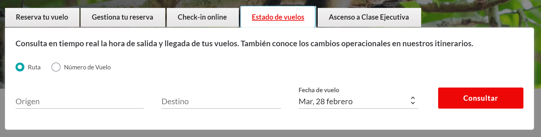 estado.PNG